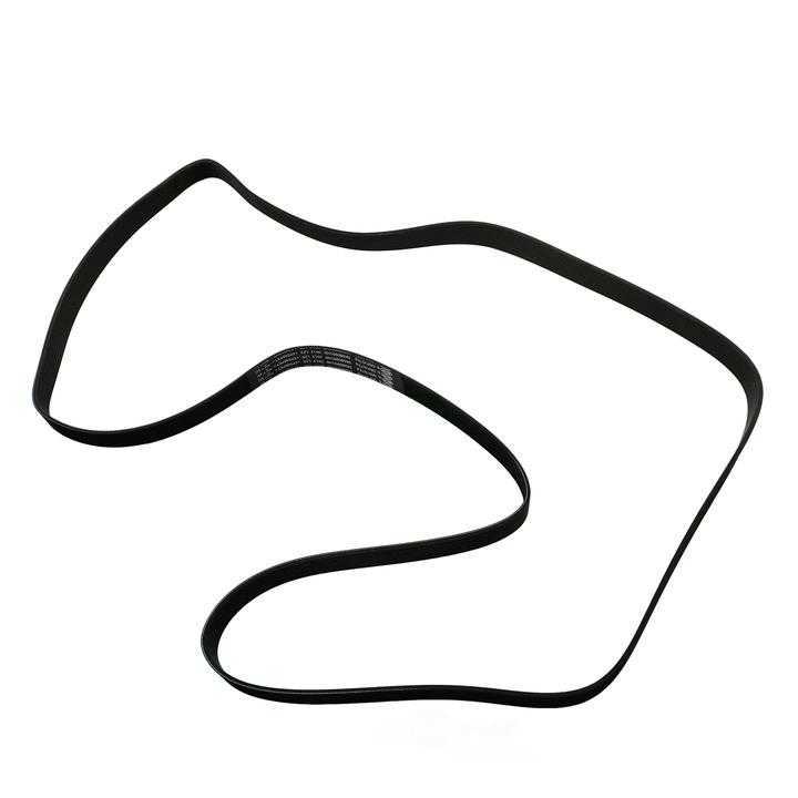 SKP - Serpentine Belt - SKP - sk080991hd