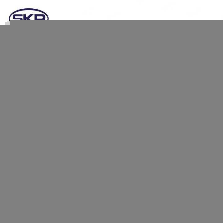 SKP - Power Window Motor and Regulator Assembly - SKP - sk741823