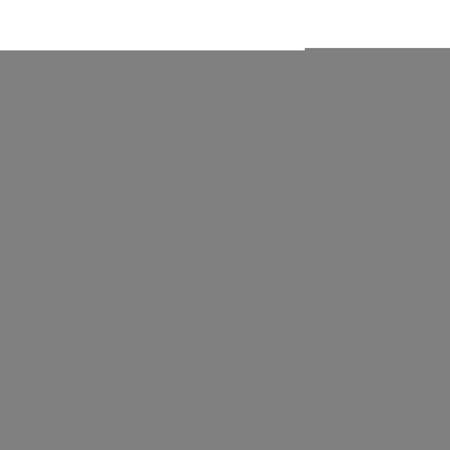 STRONG ARM - Liftgate Lift Support - STR - 4879