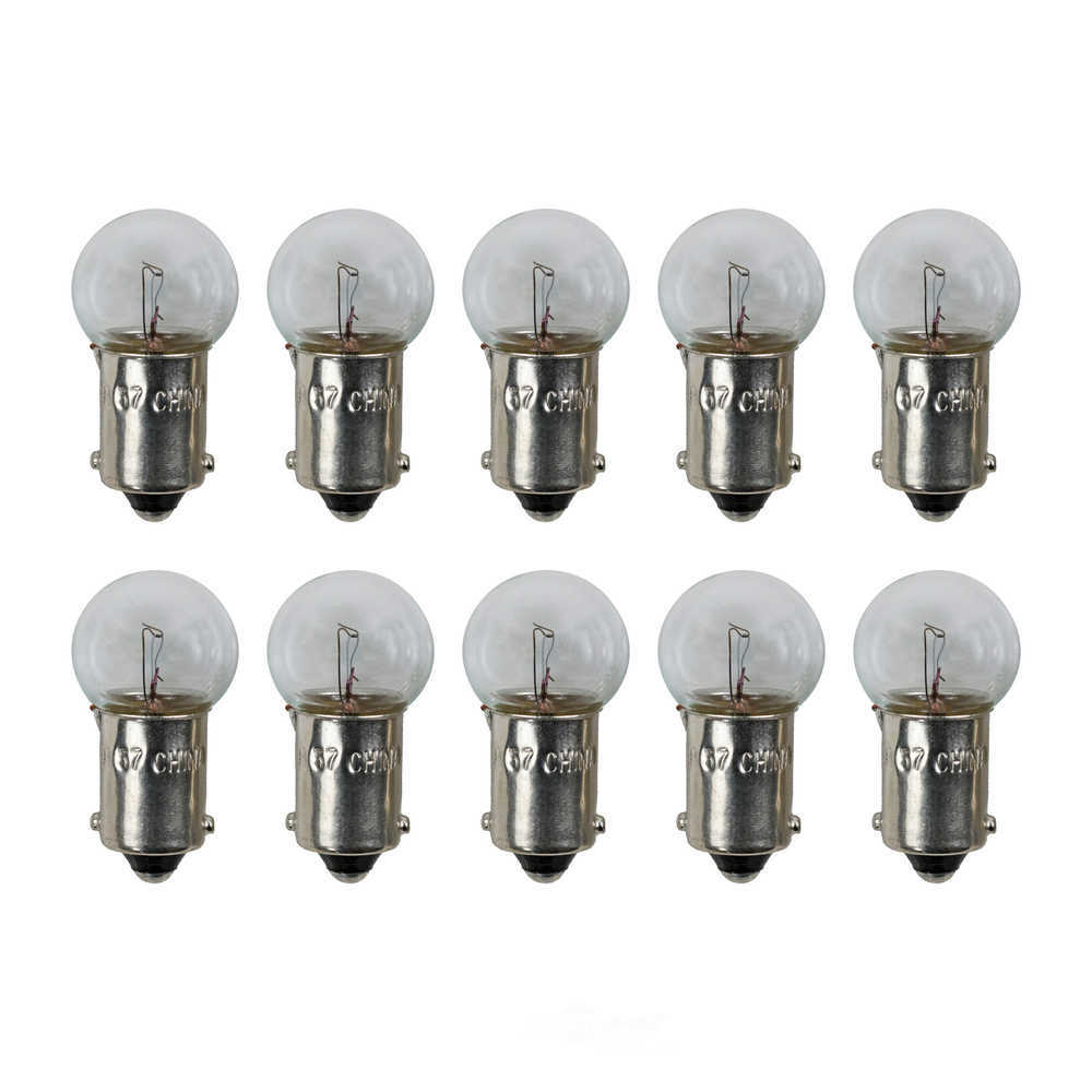 Standard Standard Multi-Purpose Light Bulb Box of 10