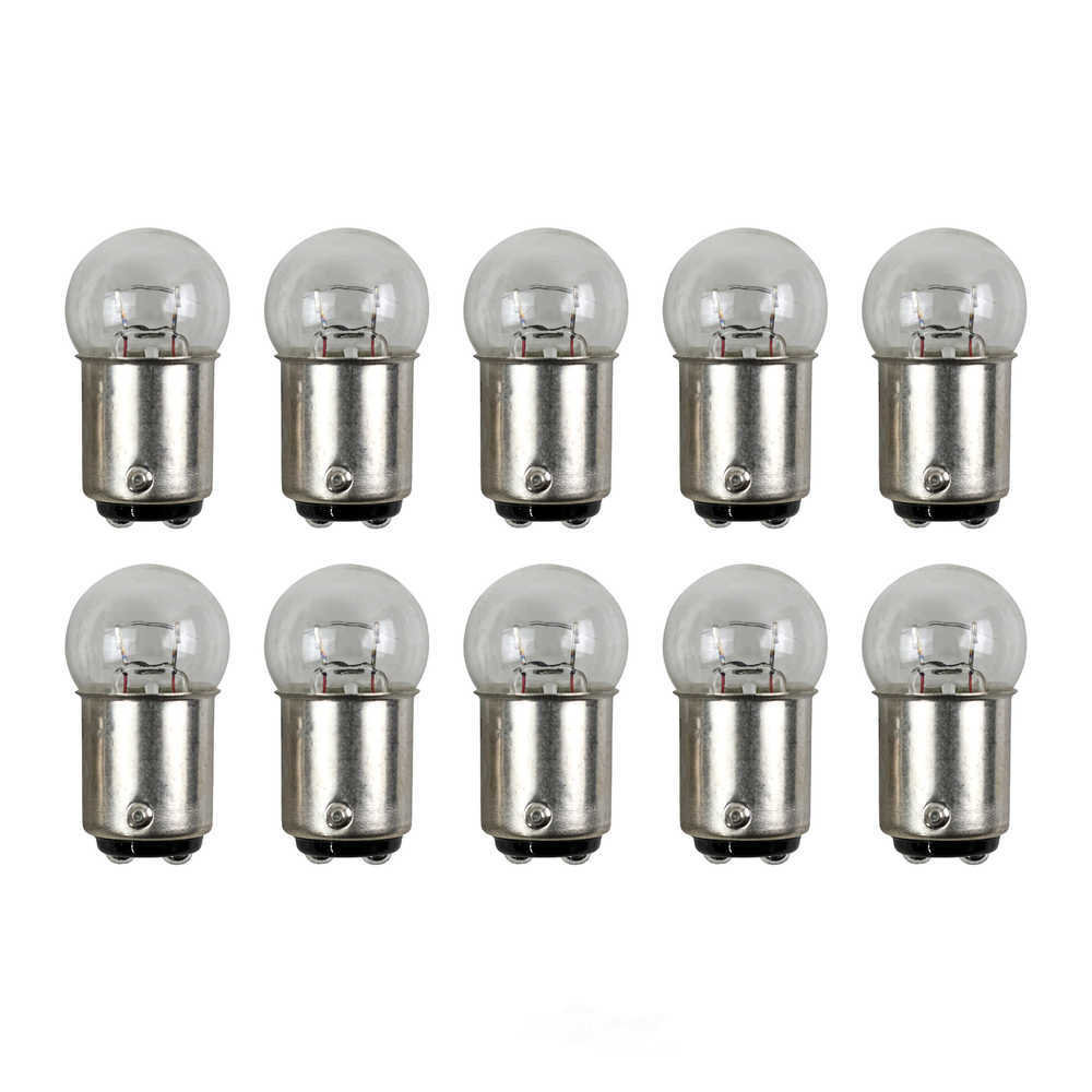 Standard Standard Multi-Purpose Light Bulb Box of 10