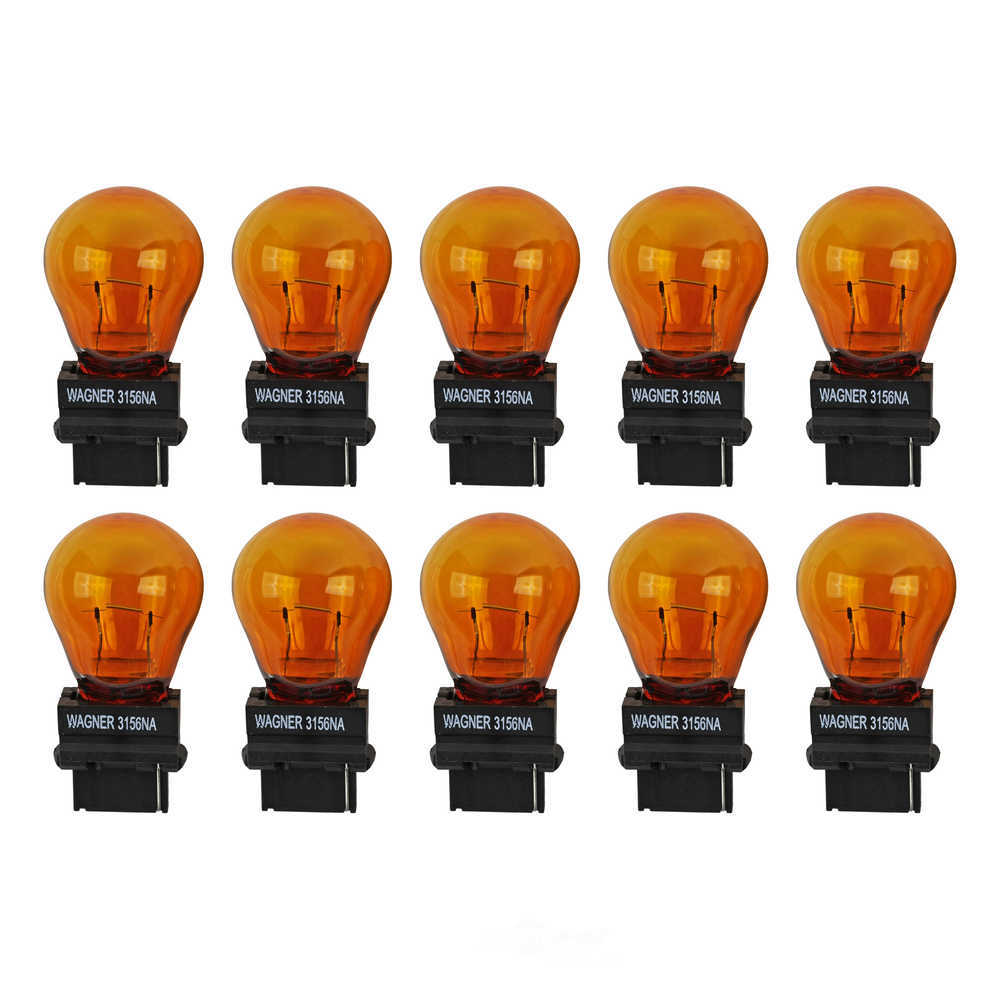 Standard Standard Multi-Purpose Light Bulb Box of 10