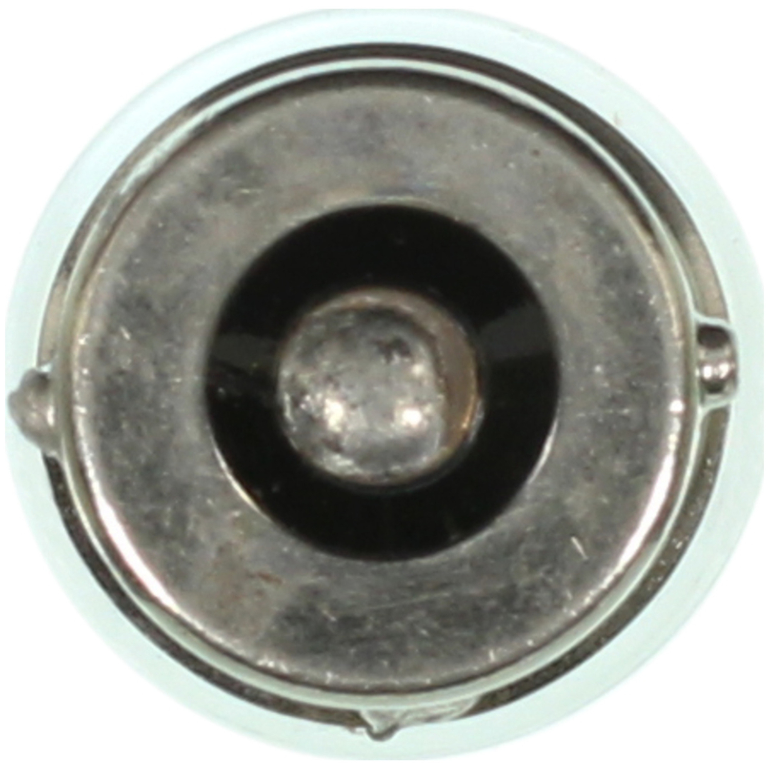 WAGNER LIGHTING - Side Marker Light Bulb (Front) - WLP BP67