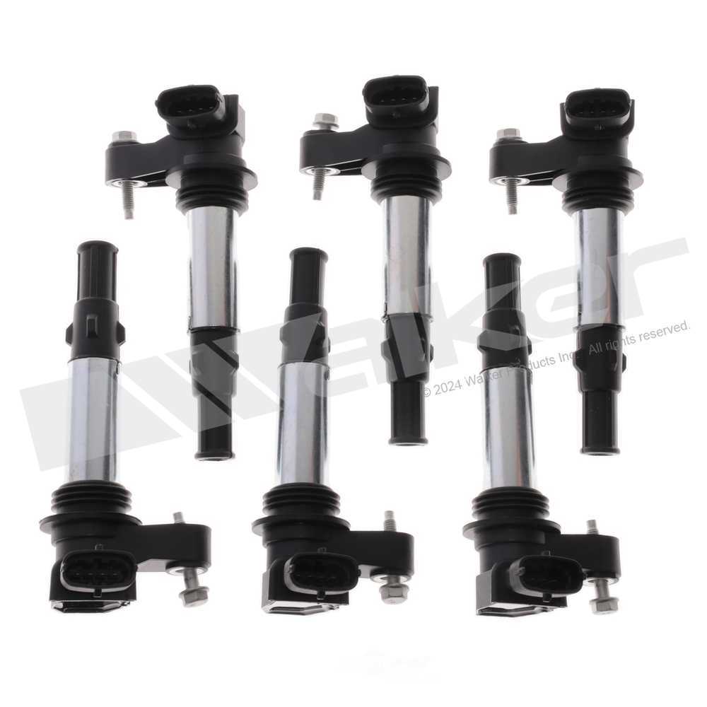 WALKER PRODUCTS INC - Coil Set - WPI - 928-4083-6