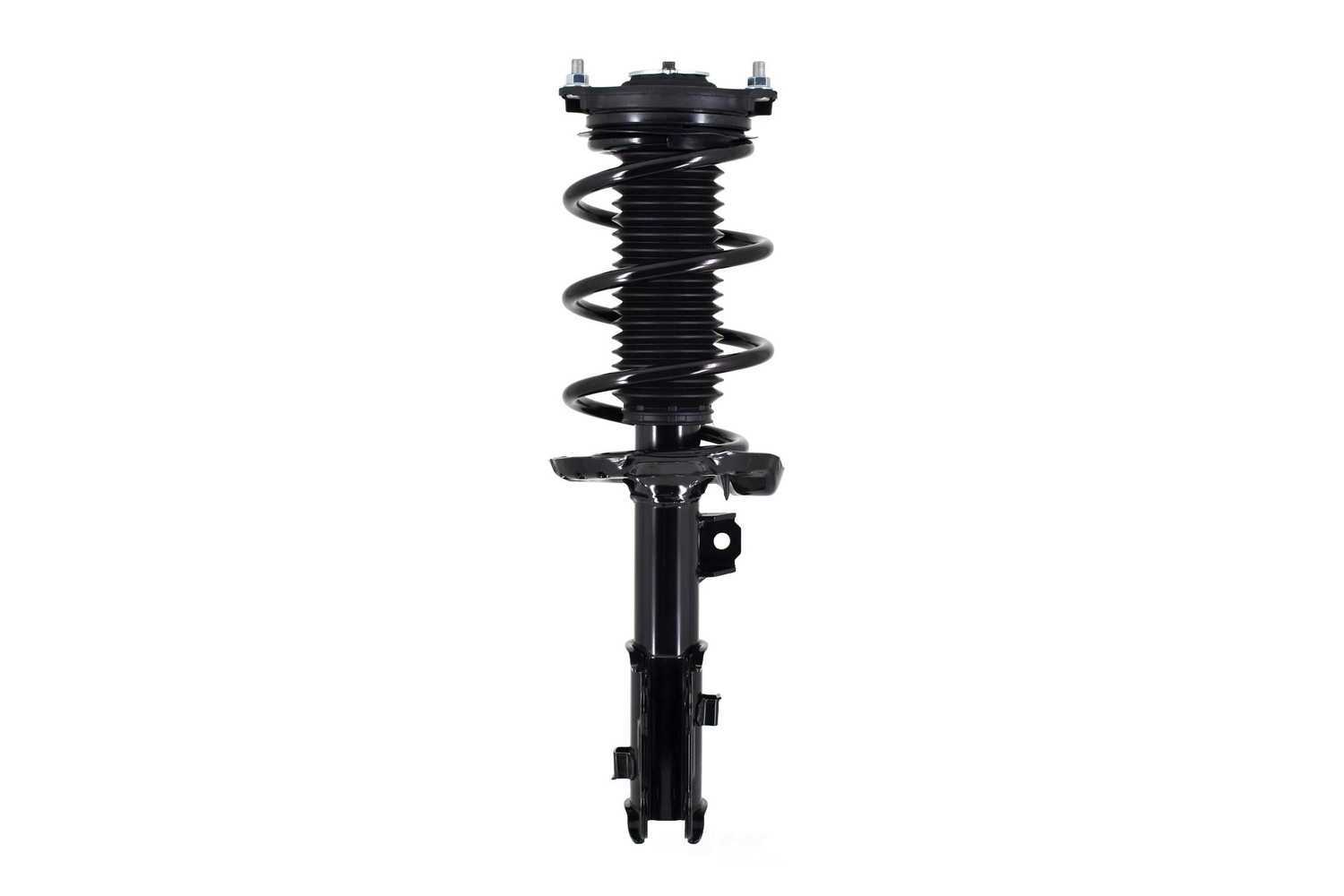 Worldparts Complete Strut Assembly