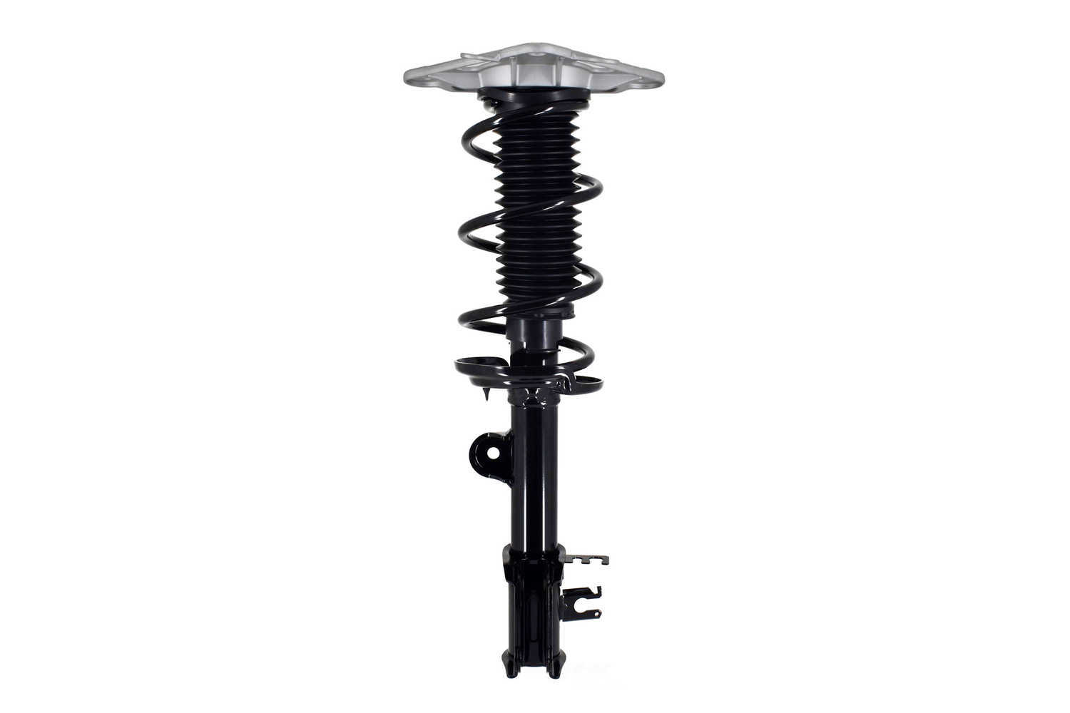 Worldparts Complete Strut Assembly