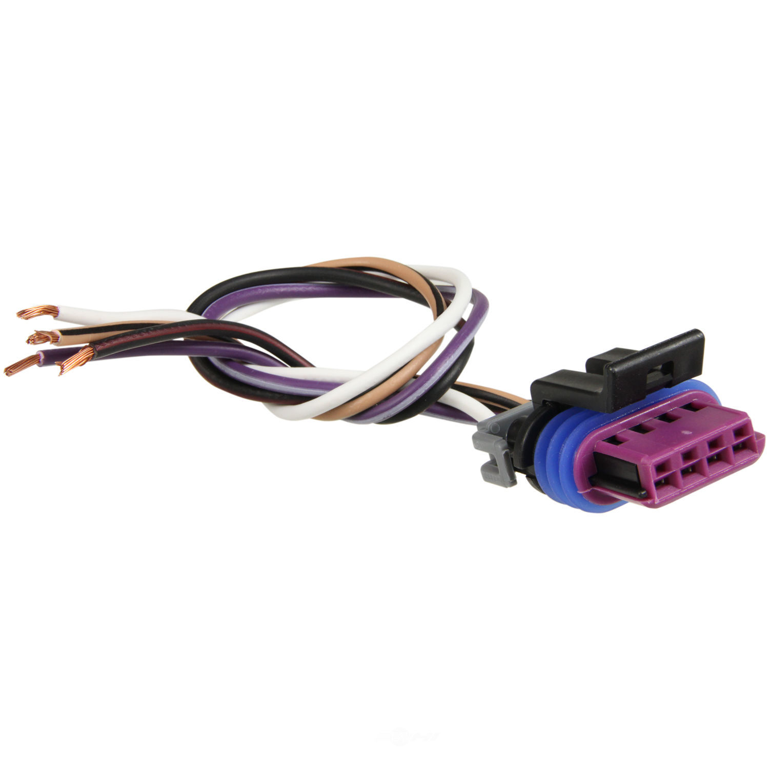 WVE - Deck Lid / Liftgate Ajar Switch Connector - WVE 1P1026
