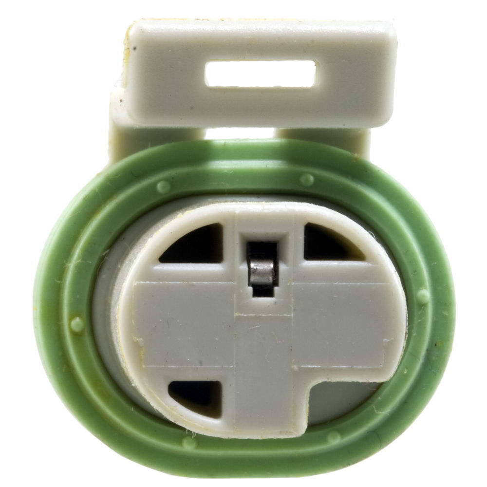 WVE - Oil Pressure Switch Connector - WVE 1P1054