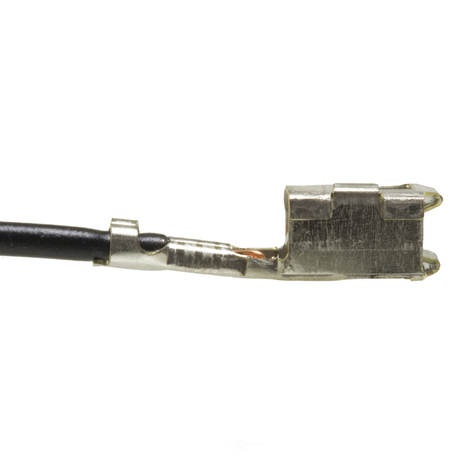 WVE - Ignition Switch Connector - WVE 1P1188