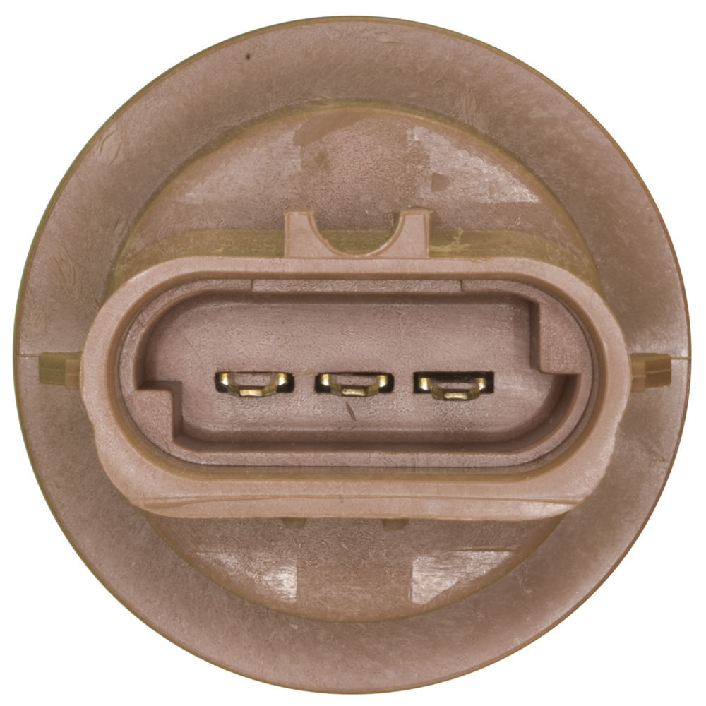 WVE - Parking Light Bulb Socket - WVE 1P1335
