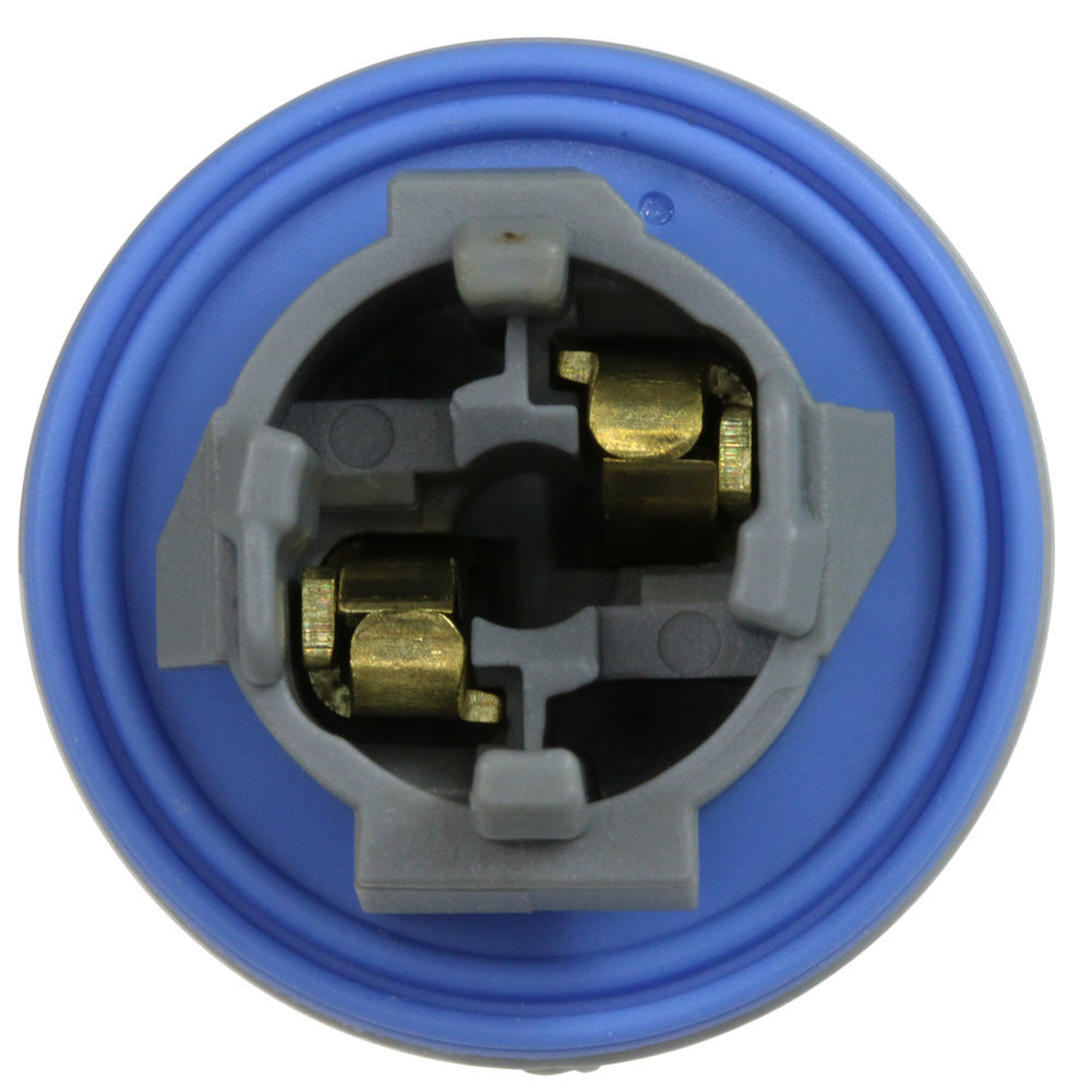 WVE - Side Marker Light Socket - WVE 1P1496