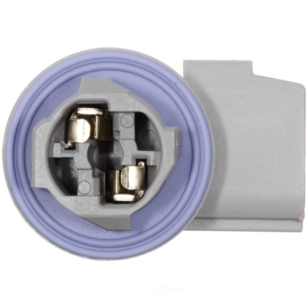WVE - Side Marker Light Socket - WVE 1P1497