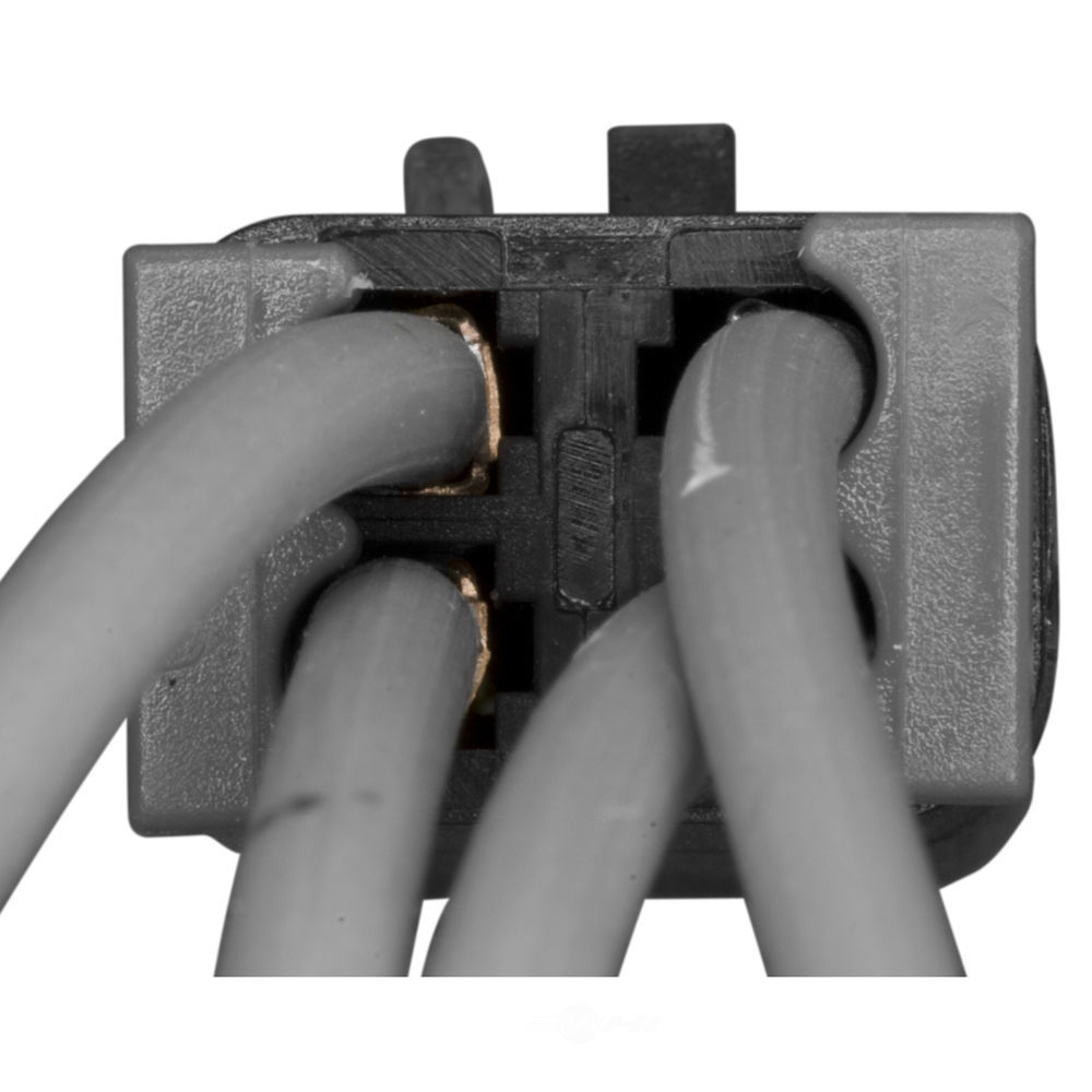 WVE - Fog Light Switch Connector - WVE 1P1628