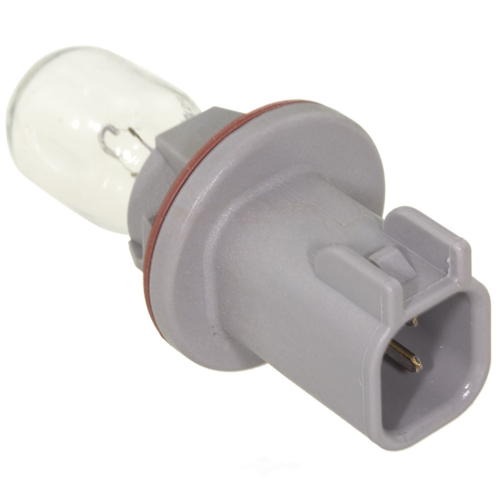 WVE - Parking Light Bulb Socket (Rear) - WVE 1P1828