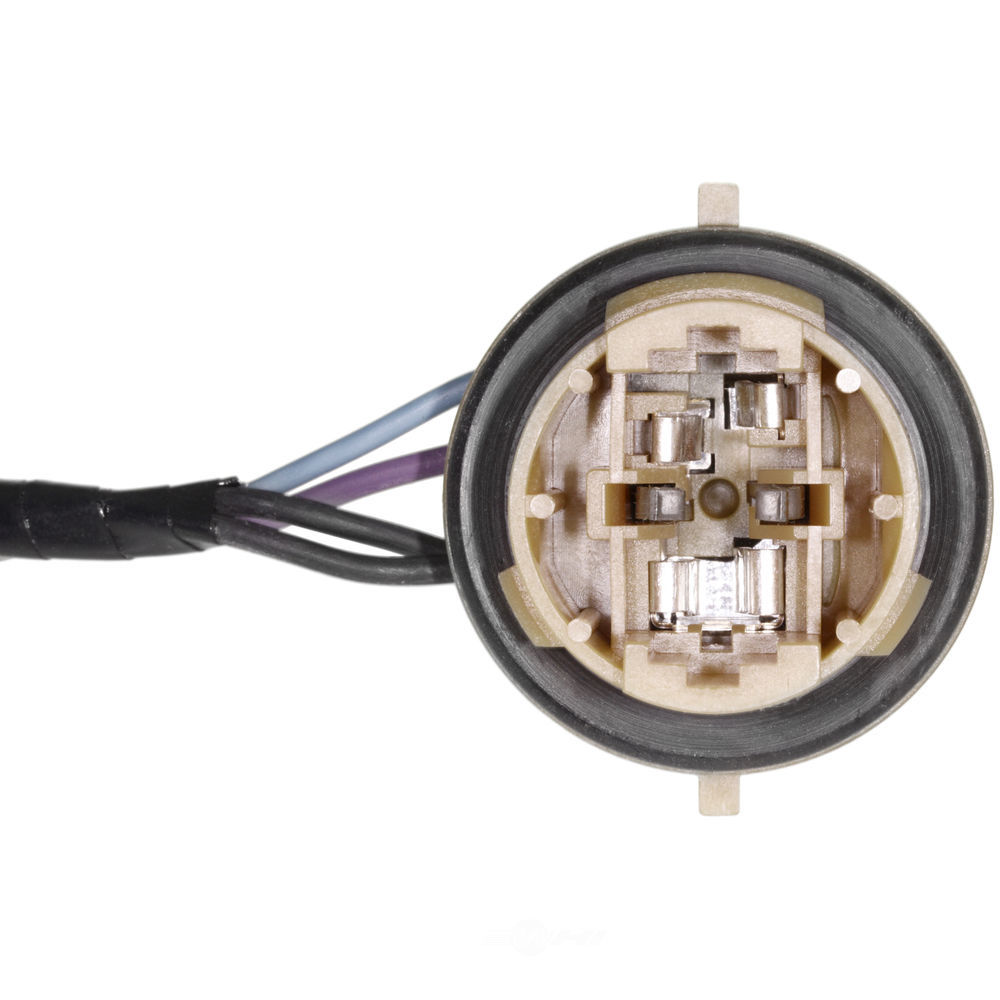 WVE - Headlight Wiring Harness - WVE 1P2179