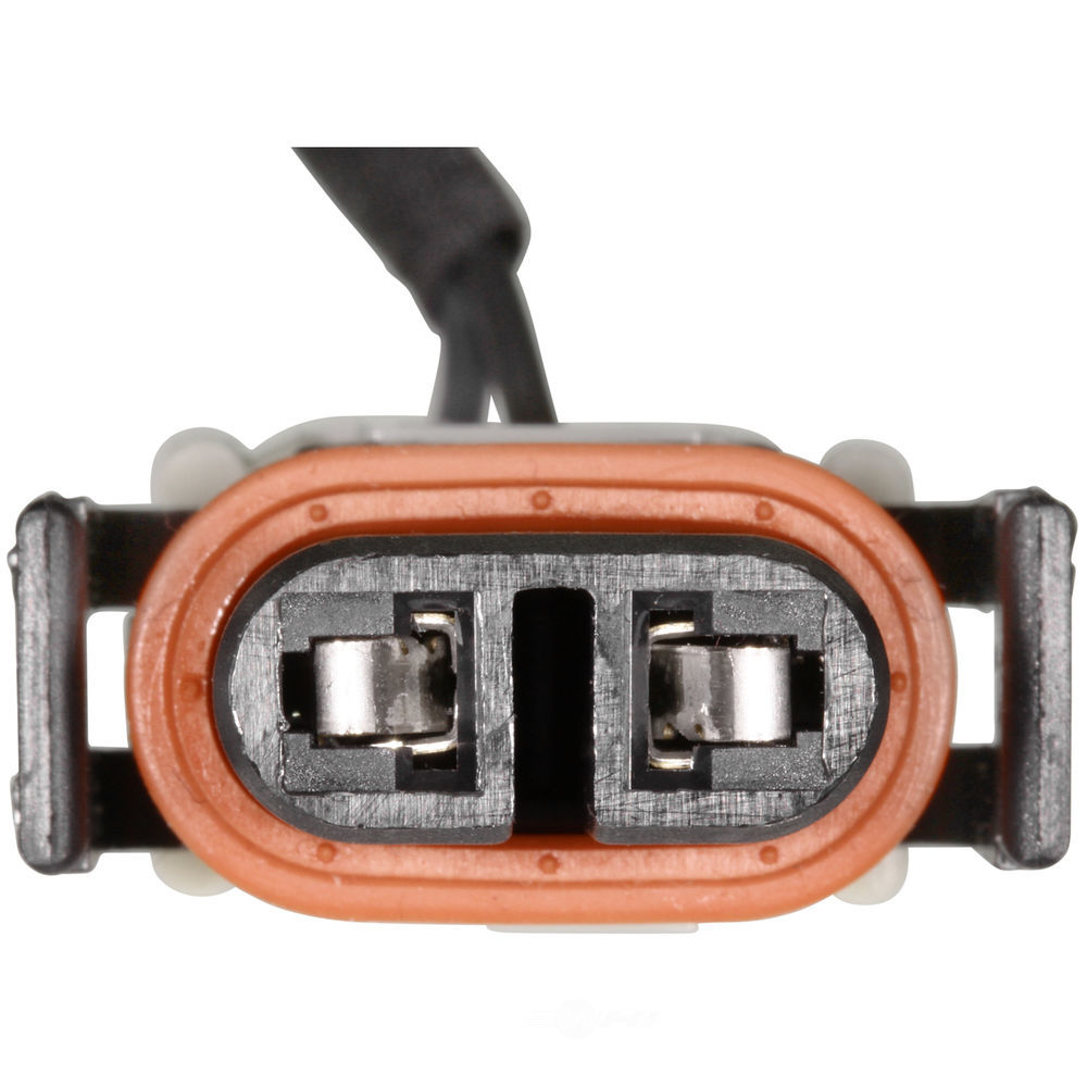 WVE - Forward Light Harness Socket - WVE 1P2193