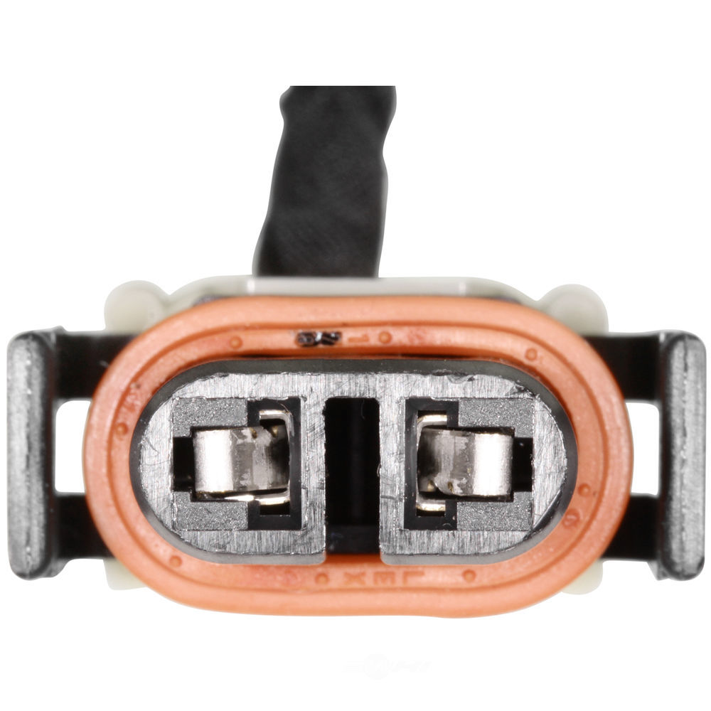 WVE - Forward Light Harness Socket - WVE 1P2194