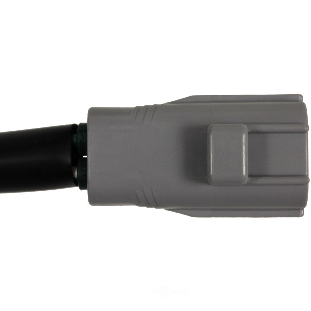 WVE - Forward Light Harness Socket - WVE 1P2410