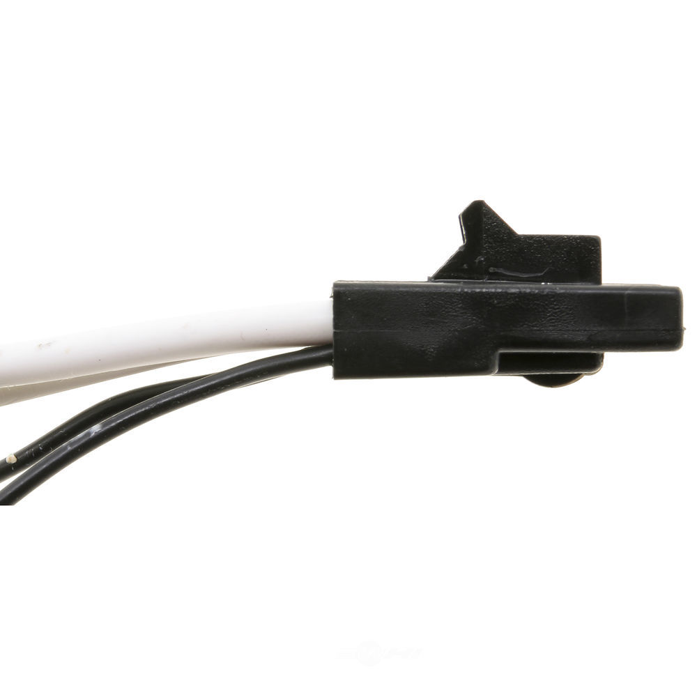 WVE - Seat Belt Switch Connector - WVE 1P4044