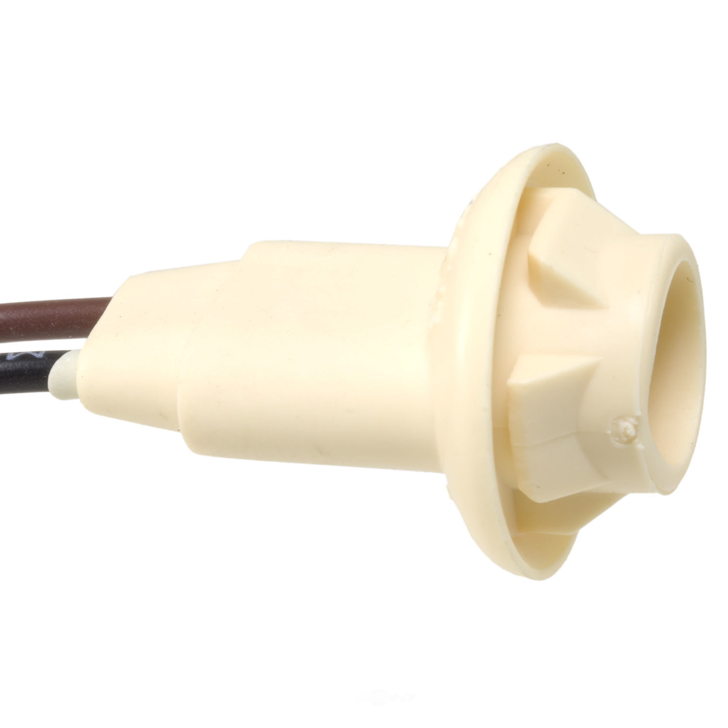 WVE - Side Marker Light Socket - WVE 6S1010