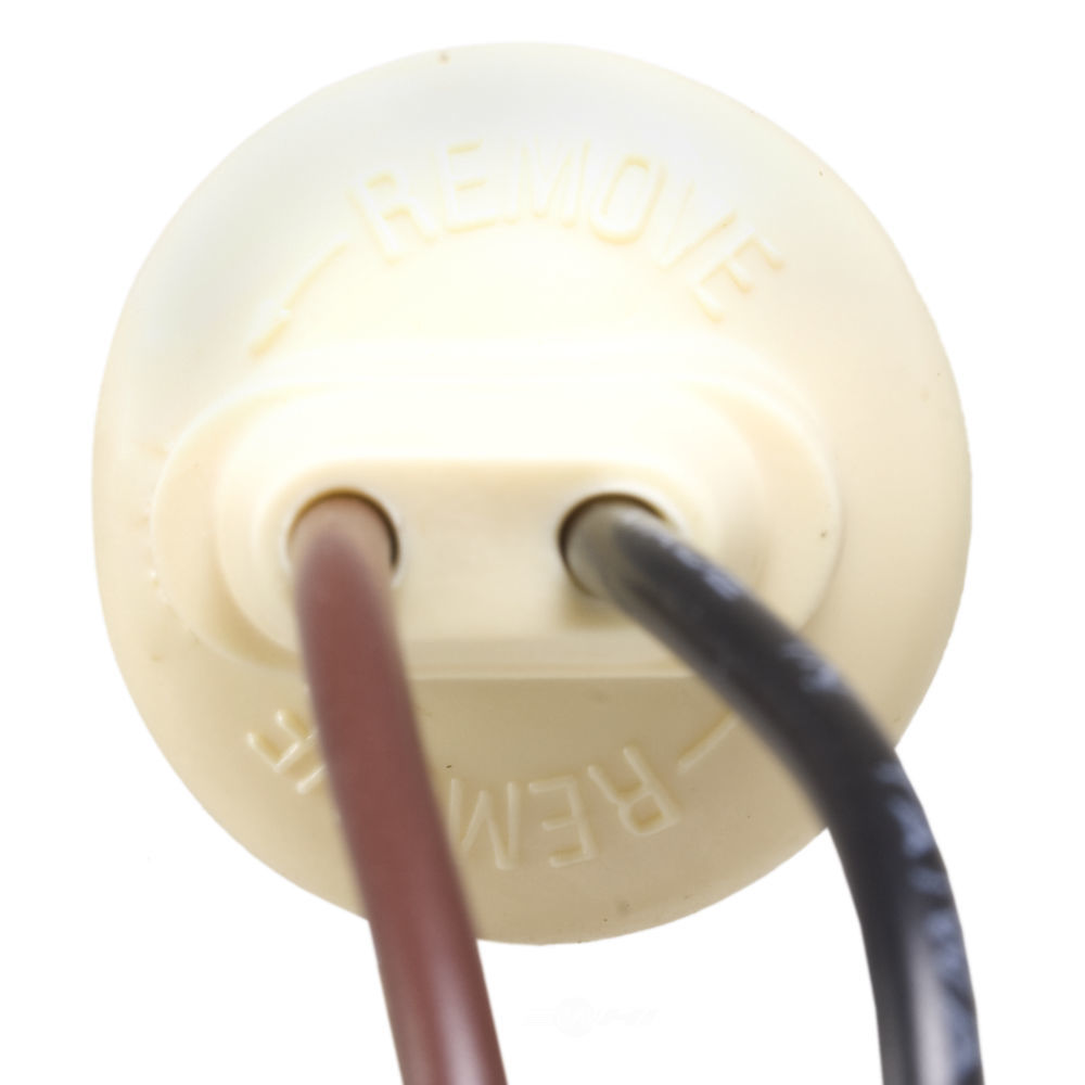WVE - Side Marker Light Socket - WVE 6S1010