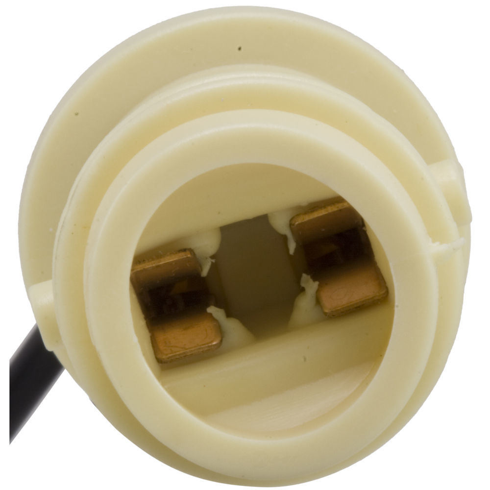 WVE - Side Marker Light Socket - WVE 6S1089