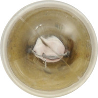 Image of a part